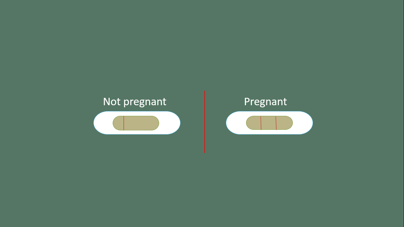 How long should I wait to take a pregnancy test 1